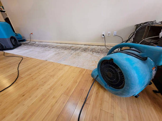 Professional Water Damage Repair technician working in Almira, WA